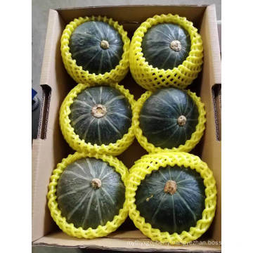 Fresh Pumpkin, Fresh Mini Pumpkin From China High Quality